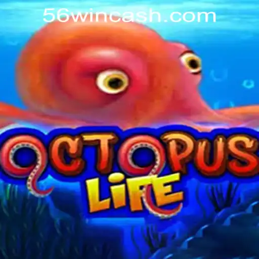 OctopusLife e 56WinGame Cassino: Um Mergulho no Universo dos Jogos